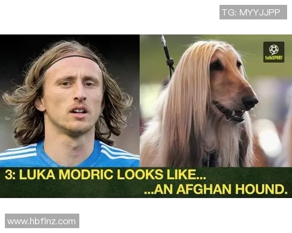 足球明星因涉嫌非法猎犬活动被警方拘捕引发社会广泛关注与讨论