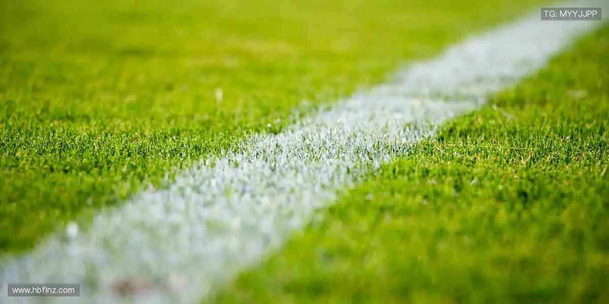 把热爱穿在身上！👕 限量周边，让你的支持永不褪色！